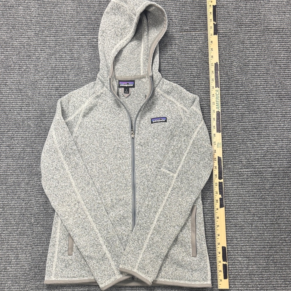 Patagonia Heathered Gray Hooded Jacket